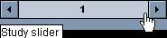 Study Slider on Computer